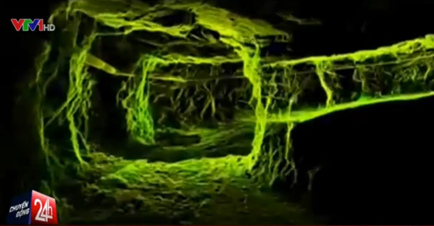 VTV: Quet nui bang cong nghe 3D giup tim nan nhan mac ket hinh anh