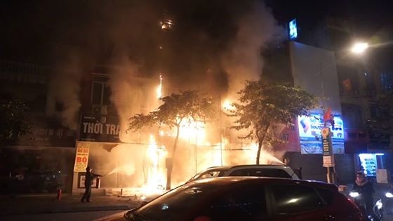 Canh voi rong dap tat ngon lua o tham my vien hinh anh