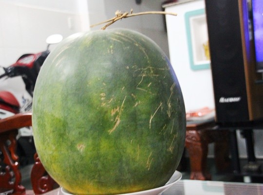 Dua hau de hon 6 thang khong hong hinh anh