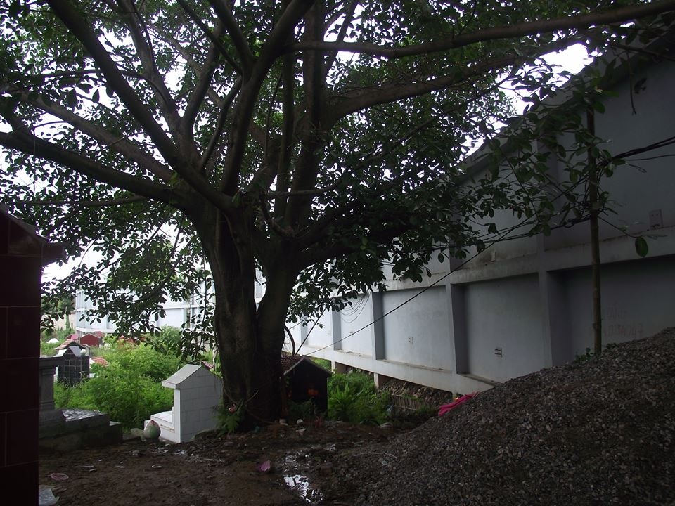 Pho chu tich HDND xa treo co tu van sau nha tho toc hinh anh