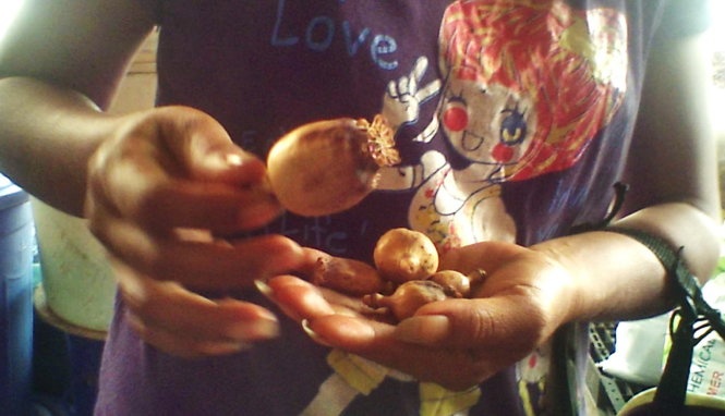 Len lut ban trai cay thuoc phien hinh anh