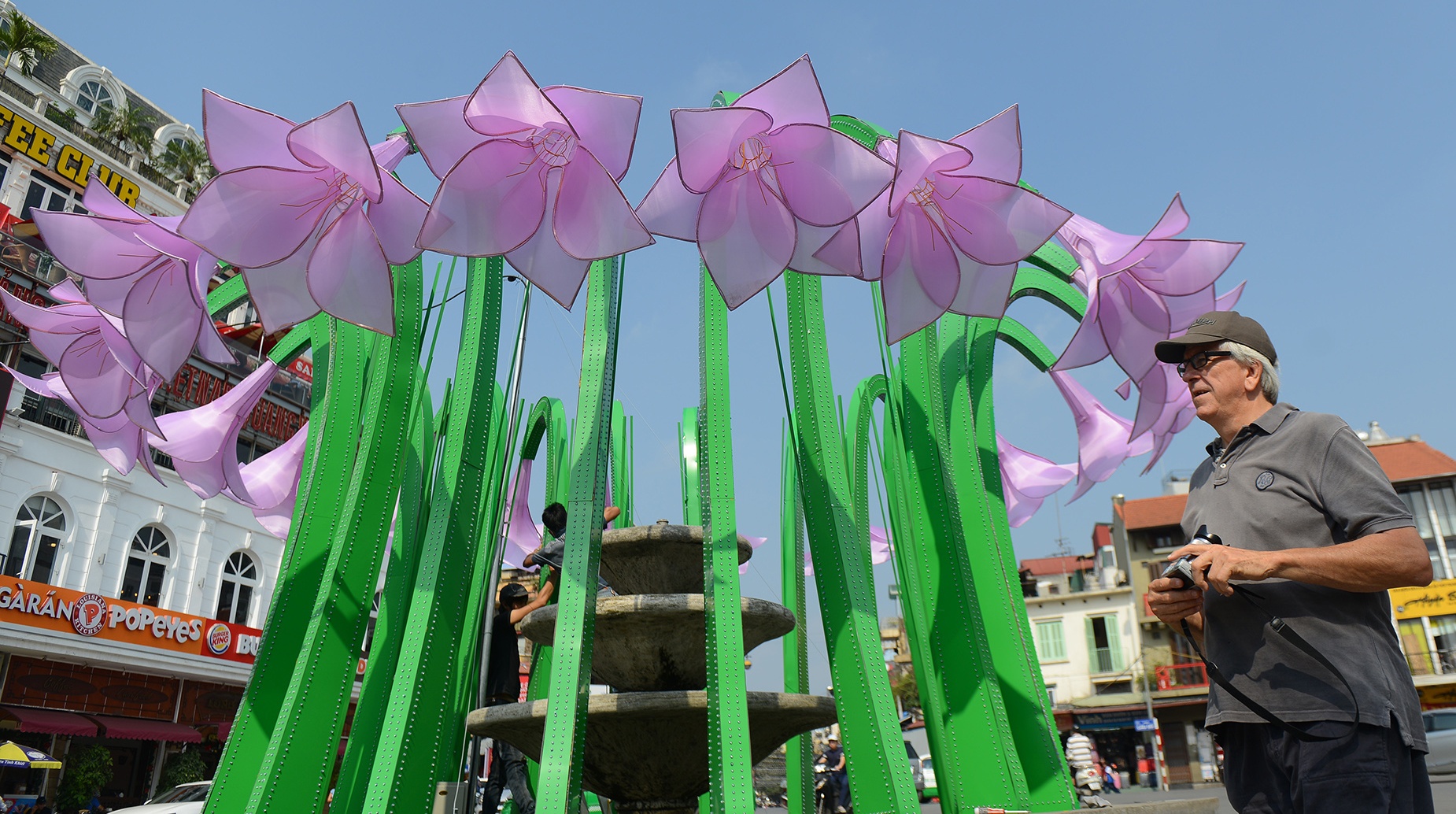 Thao do dai hoa la gay tranh cai o Ha Noi hinh anh