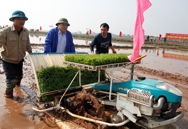 Tan Bi thu Ha Noi, TP HCM tat bat dau nam moi hinh anh