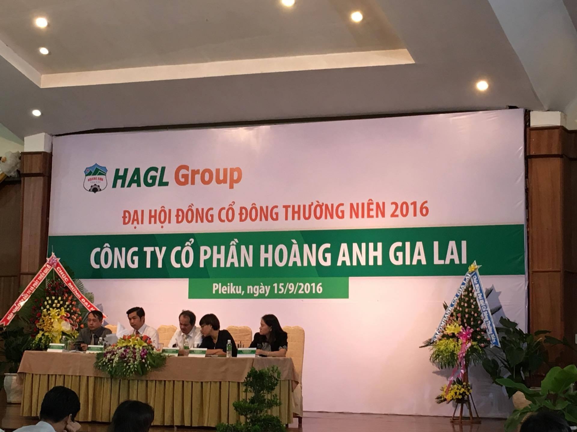 HAGL bán thủy điện, mía đường, cao su ảnh 1 HAGL ban thuy dien, mia duong, cao su anh 1