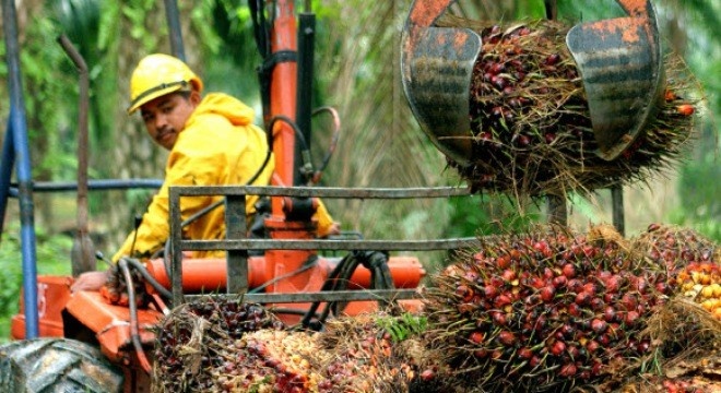 Bau Duc con lai nhung gi khi ban tai san tra no? hinh anh