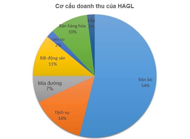 Hoàng Anh Gia Lai thua lỗ ảnh 1 Hoang Anh Gia Lai thua lo anh 1
