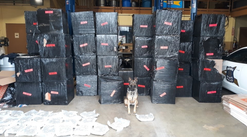 Canh sat bat giu hon nua tan can sa nho mot chu cho nghiep vu hinh anh