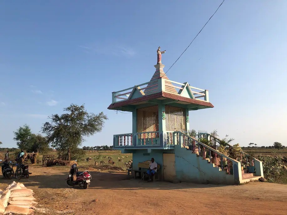 Xuat hien benh la gay hoang mang o An Do hinh anh