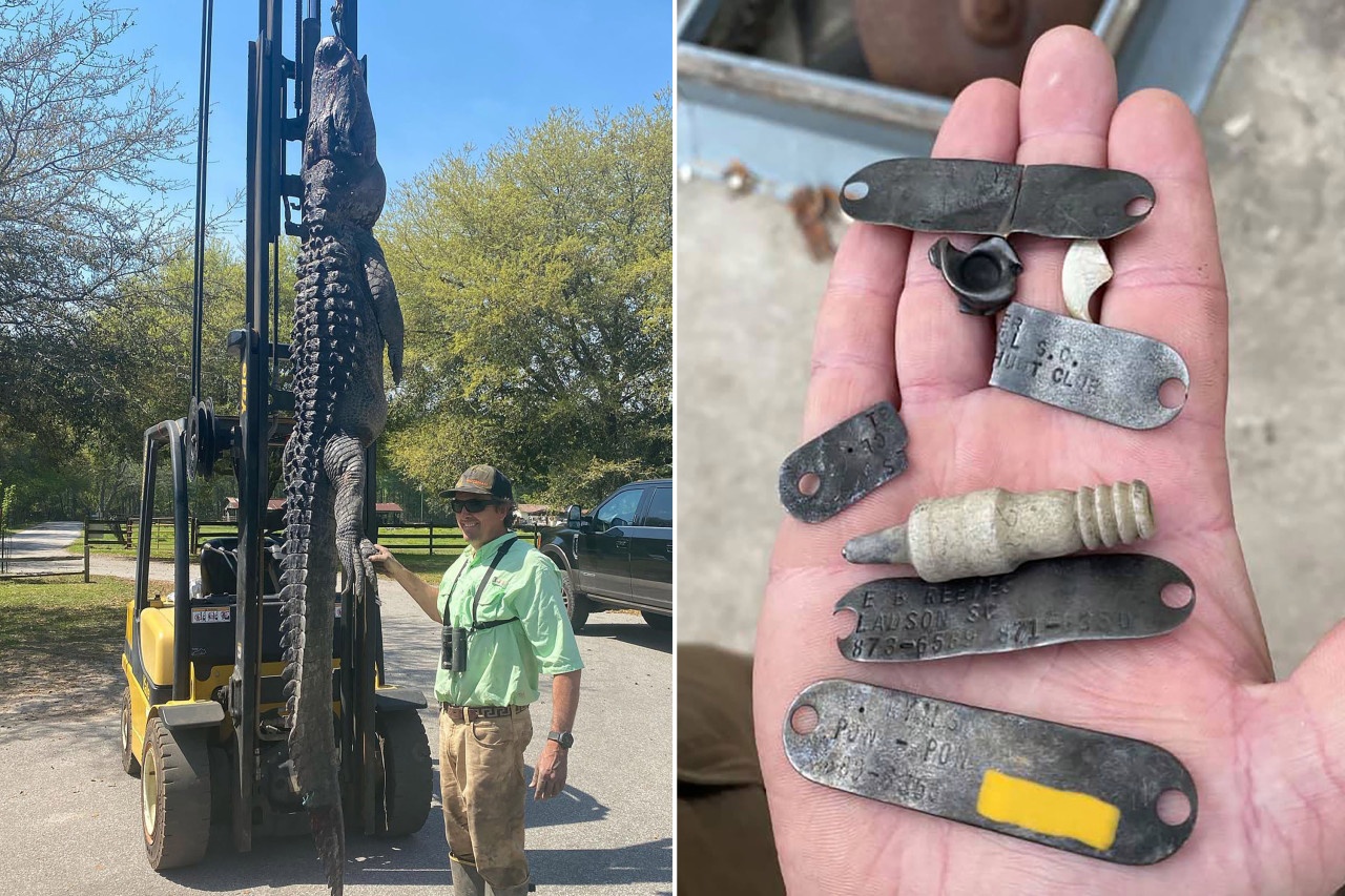 ca sau quai vat anh 2