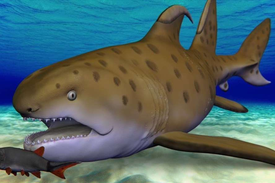 Hoa thach ca map 'Godzilla' duoc xac dinh la mot loai rieng hinh anh