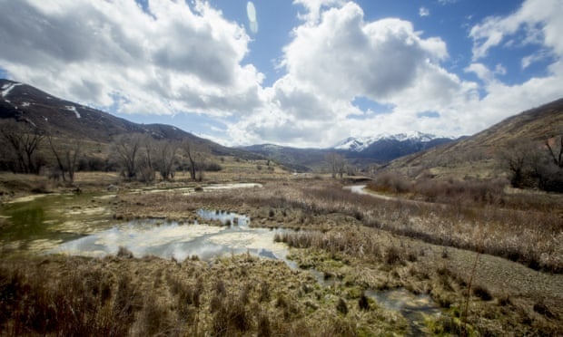 phu nu mat tich,  Utah,  an co va reu de song sot 5 thang anh 1