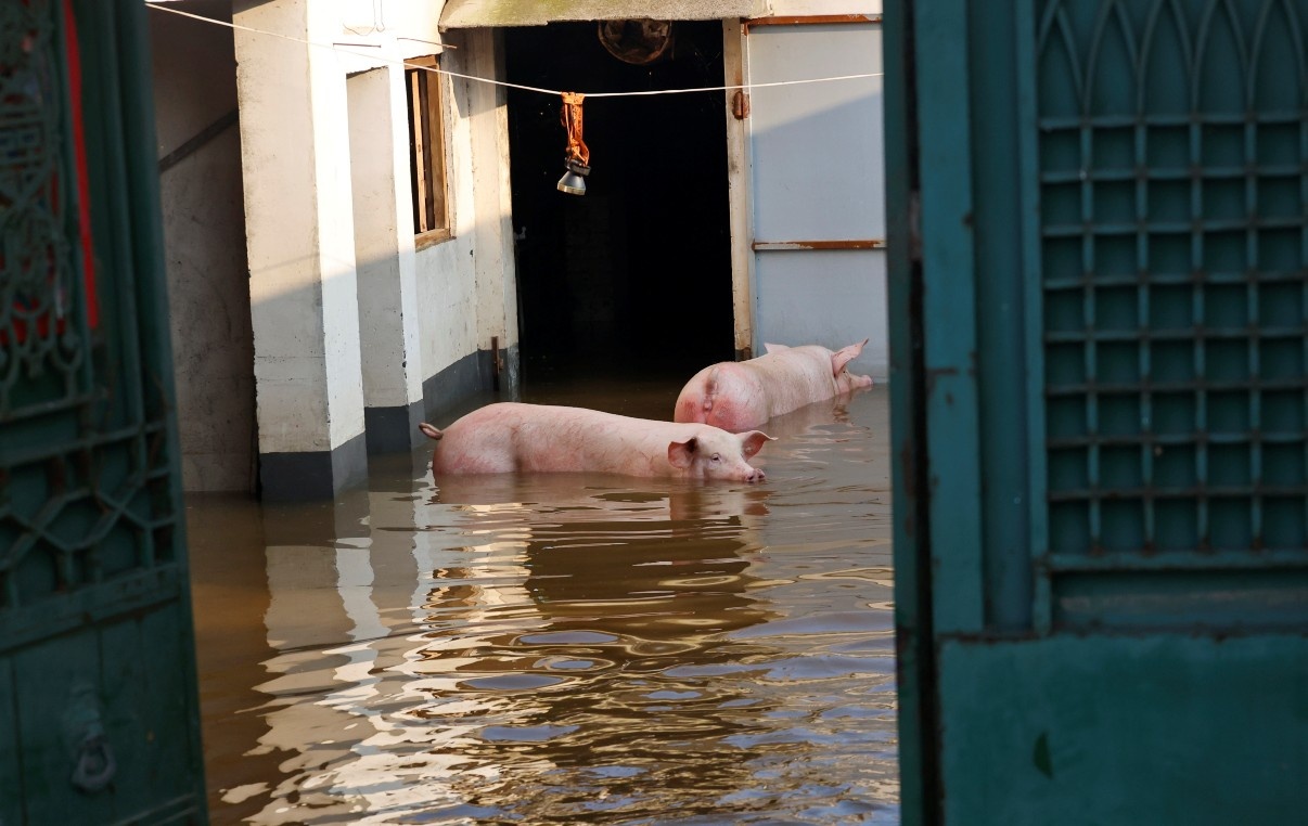 Nan nhan lu lut o Trung Quoc: Toi mat tat ca, bau troi nhu sup xuong hinh anh