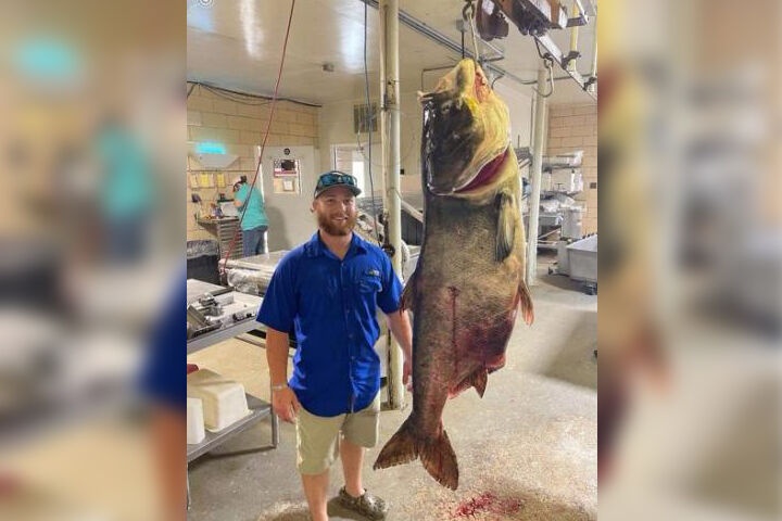 bat ca me dau bo,  nang hon nua ta,  xac lap ky luc anh 1