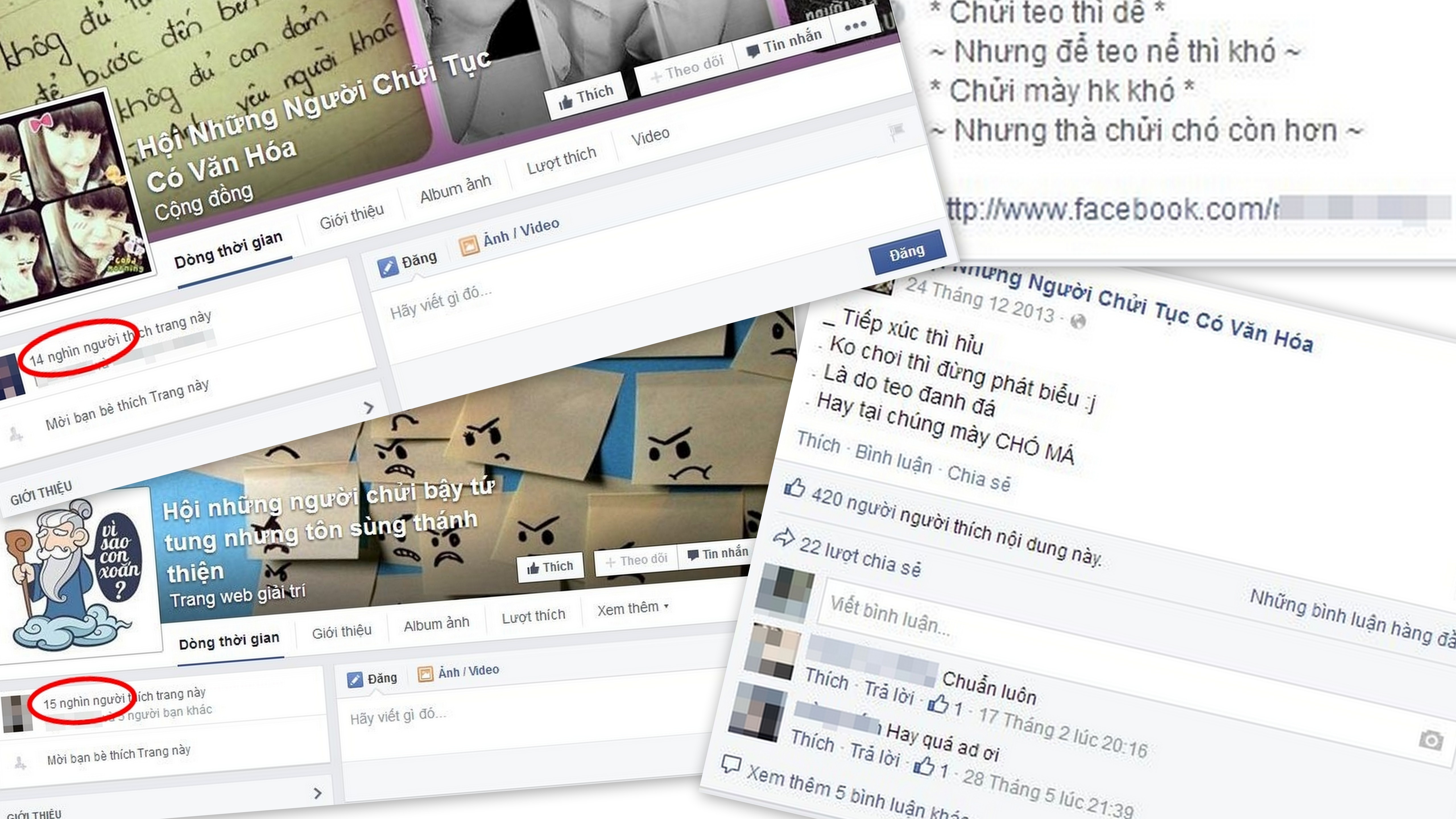 Chui the 'dai nao' mang xa hoi hinh anh