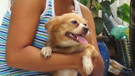 Truong mau giao tan dung phong hoc de... nuoi cho hinh anh