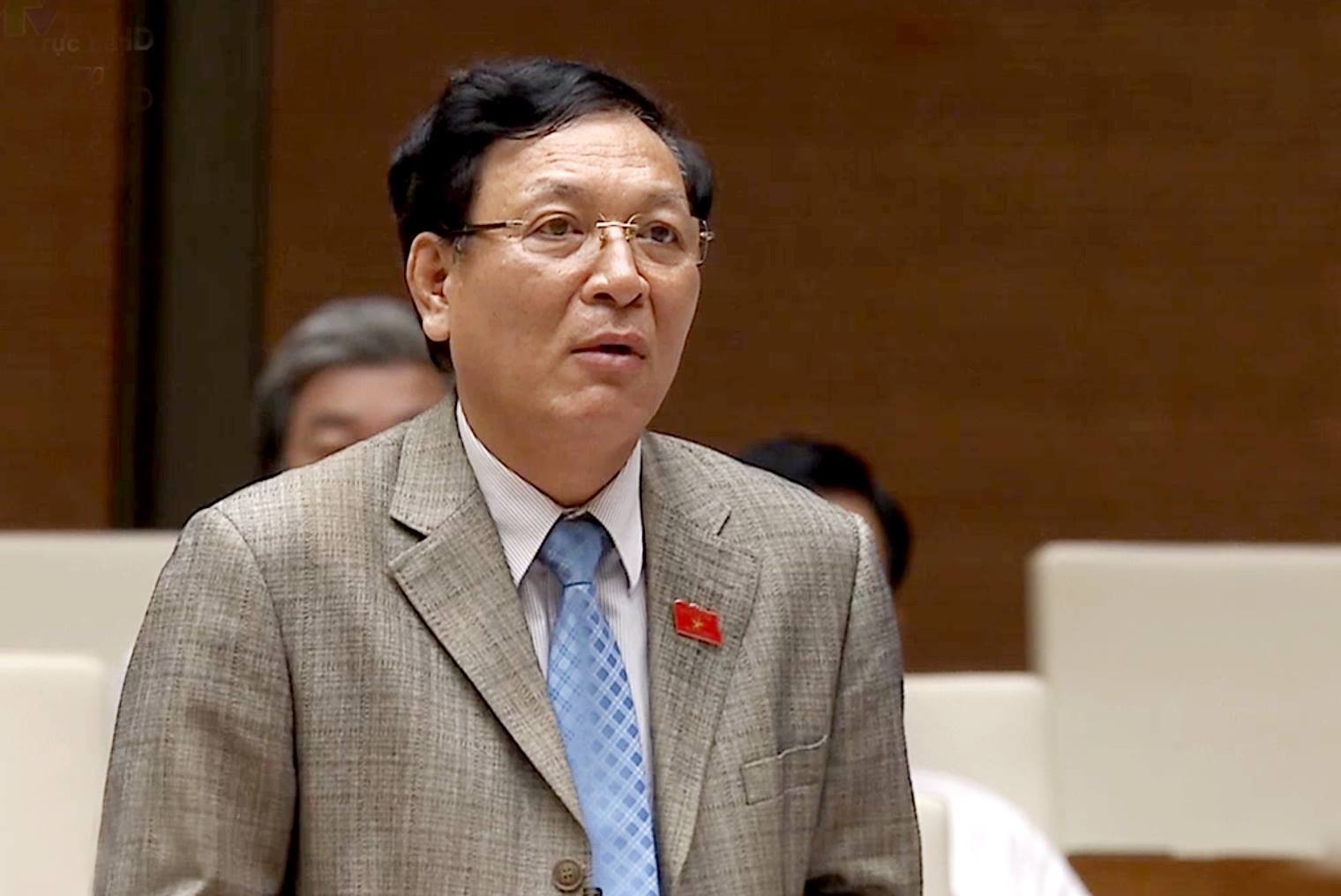 Bo truong Pham Vu Luan tra loi chat van dai bieu Quoc hoi hinh anh
