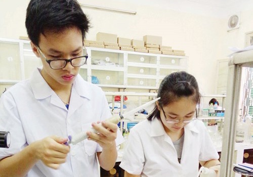 Nghien cuu ve rom cua hai hoc sinh lop 11 doat giai nhat hinh anh