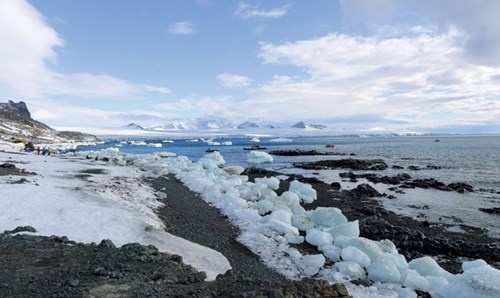 Tôi đến Nam Cực ảnh 2 Toi den Nam Cuc anh 2