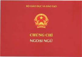 Duong day 'chay' chung chi: Mao danh DH Thai Nguyen? hinh anh