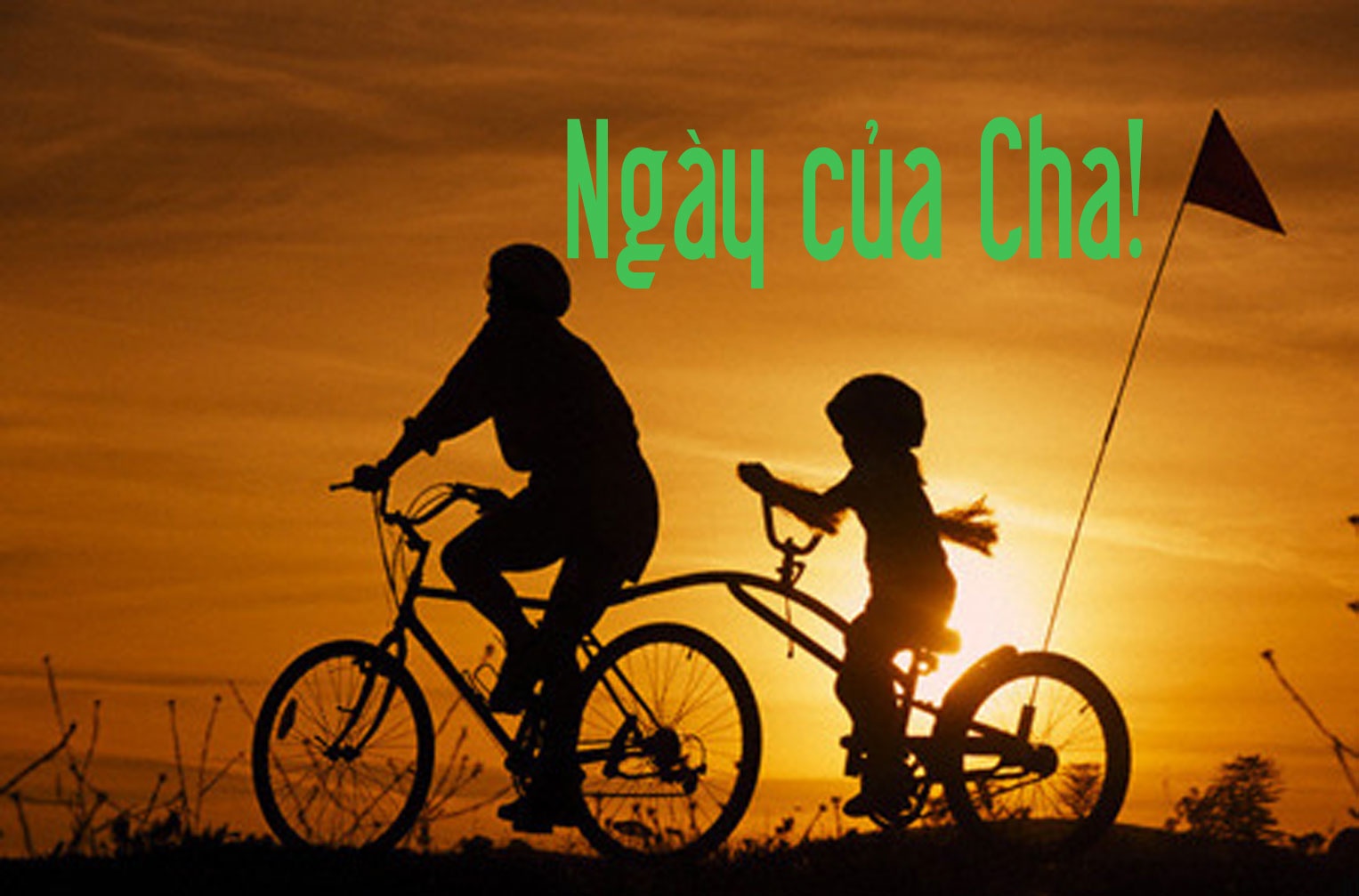 Ngay cua Cha: Nhung dieu con muon noi hinh anh