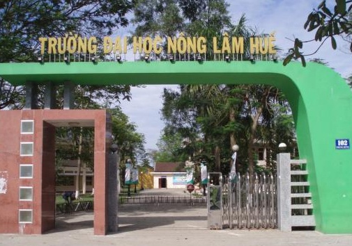 Truong dau tien thuoc Dai hoc Hue thuc hien danh gia ngoai hinh anh