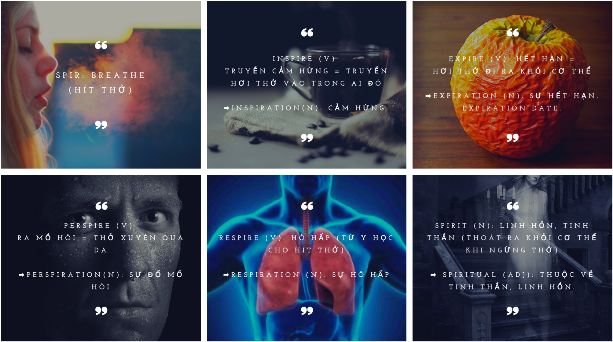 IELTS 8.0 ảnh 3 IELTS 8.0 anh 3