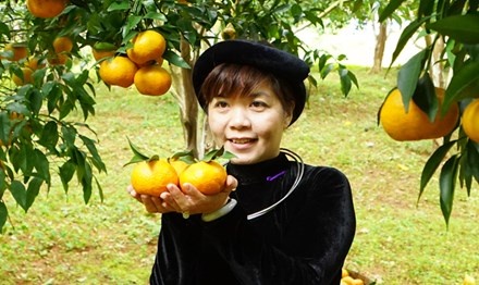 Nu tien si giai ma 'tui khon cua nguoi Tay' hinh anh