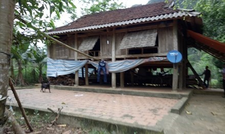 Nữ sinh mang thai ảnh 1 Nu sinh mang thai anh 1