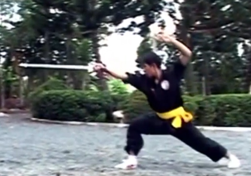 Tinh hoa vo thuat co truyen hinh anh