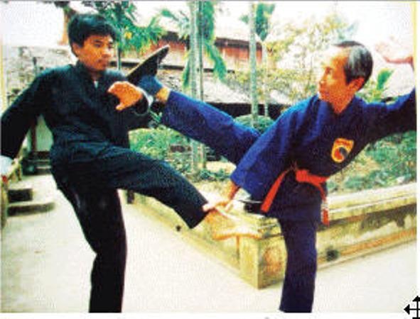 Vo su Viet noi tieng nao la dong mon voi Ly Tieu Long? hinh anh
