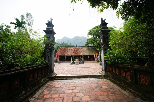 Họ Nguyễn ảnh 7 Ho Nguyen anh 7