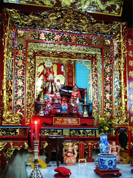 Xuong ca voi lon nhat anh 2