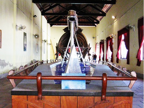 Xuong ca voi lon nhat anh 4