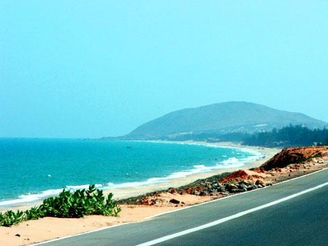 Xuong ca voi lon nhat anh 7