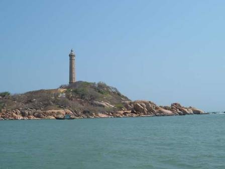 Xuong ca voi lon nhat anh 8