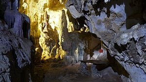 Thạch Sanh ảnh 4 Thach Sanh anh 4