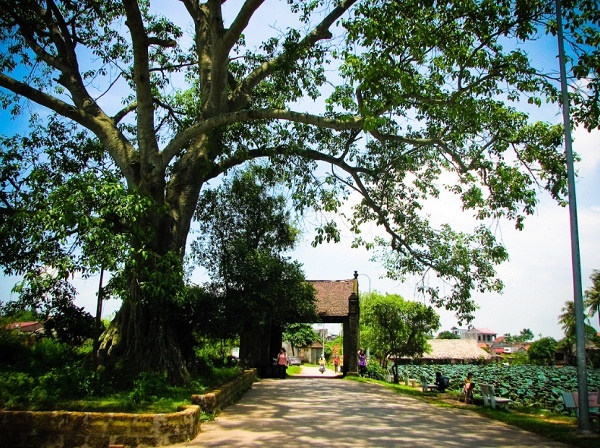 Tháp Rùa Hà Nội ảnh 4 Thap Rua Ha Noi anh 4