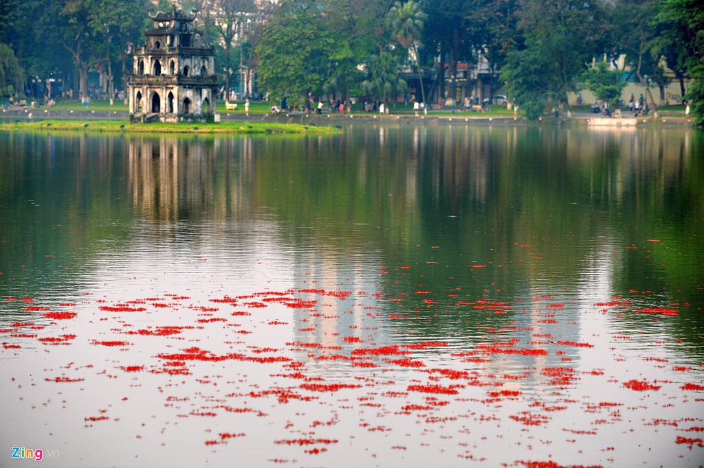 Tháp Rùa Hà Nội ảnh 2 Thap Rua Ha Noi anh 2