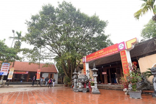 Trạng Nguyên ảnh 1 Trang Nguyen anh 1