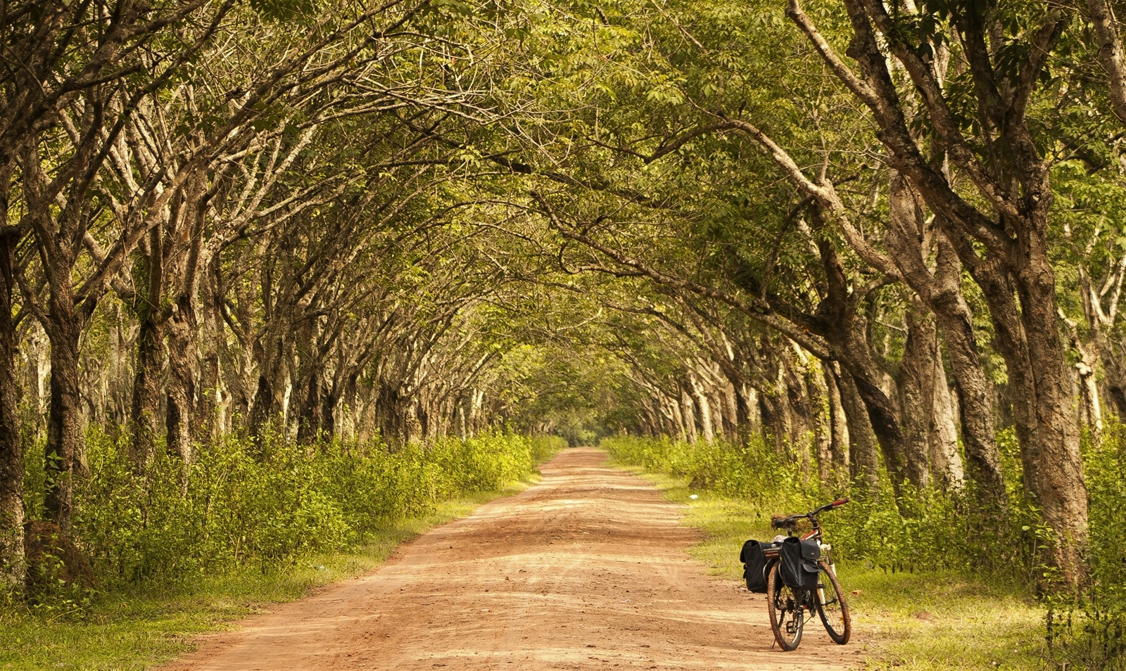 Khu mo tap the anh 5