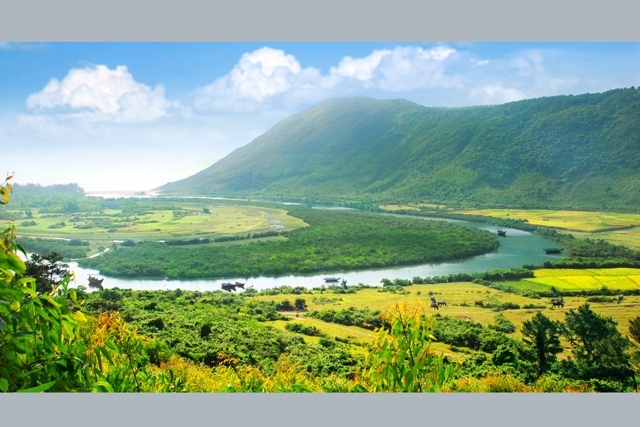 Ngay Nha giao Viet Nam anh 5