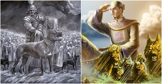 Đội quân chó săn ảnh 8 Doi quan cho san anh 8