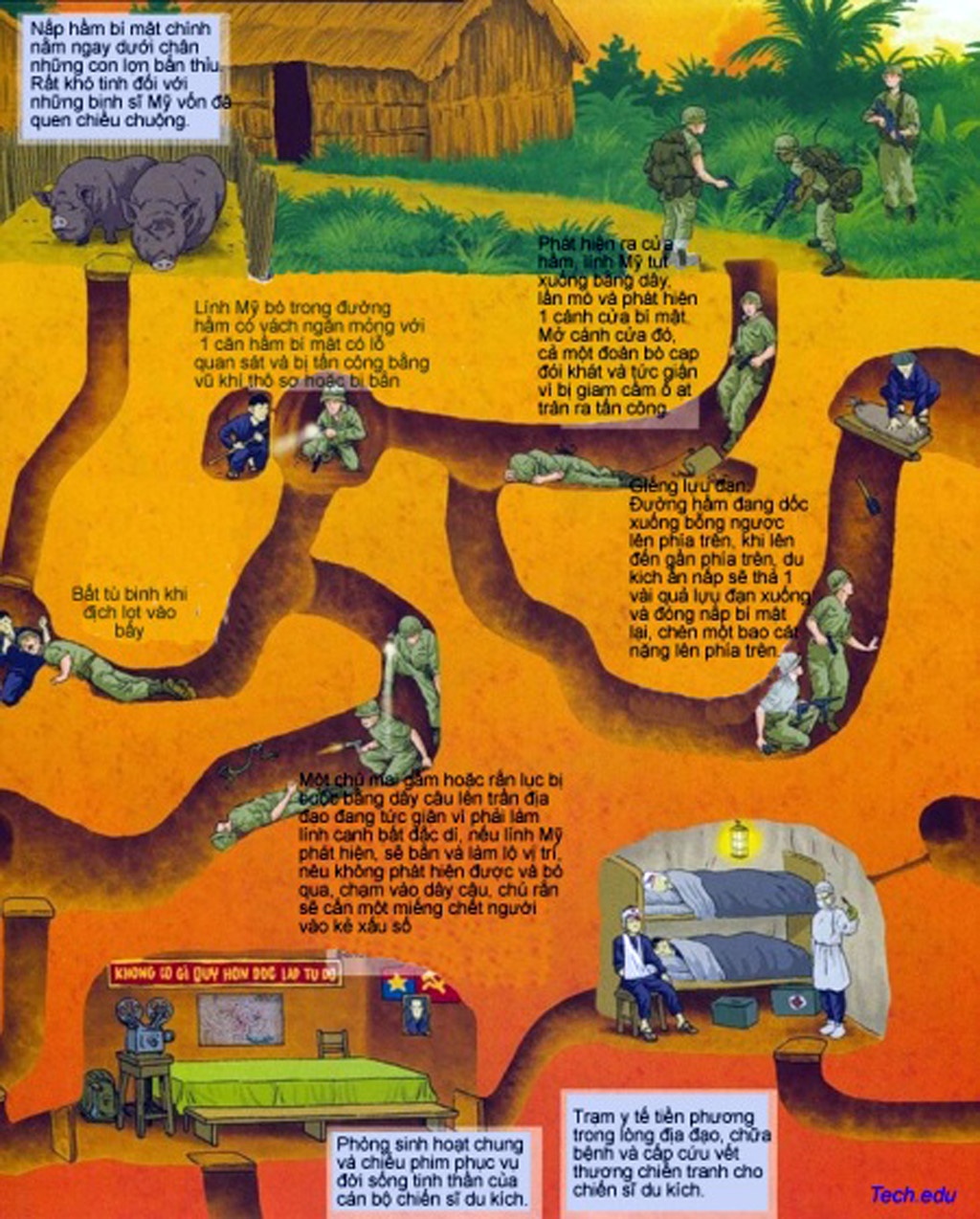 Dat thep thanh dong anh 5