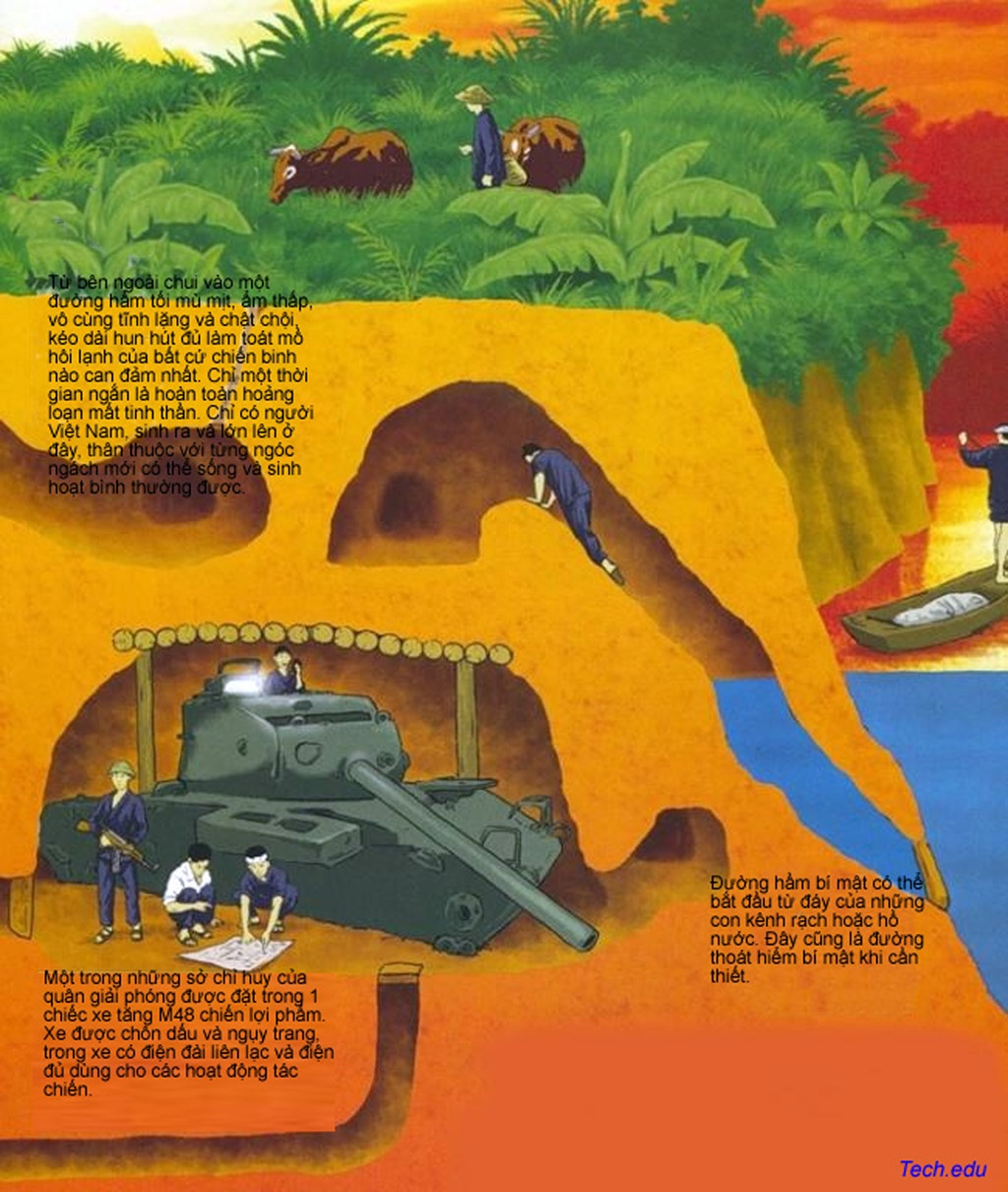 Dat thep thanh dong anh 6