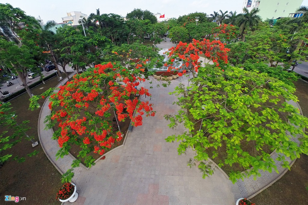 Tuyệt Tình Cốc ảnh 5 Tuyet Tinh Coc anh 5