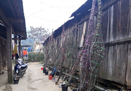 Thuong Tet giao vien anh 2