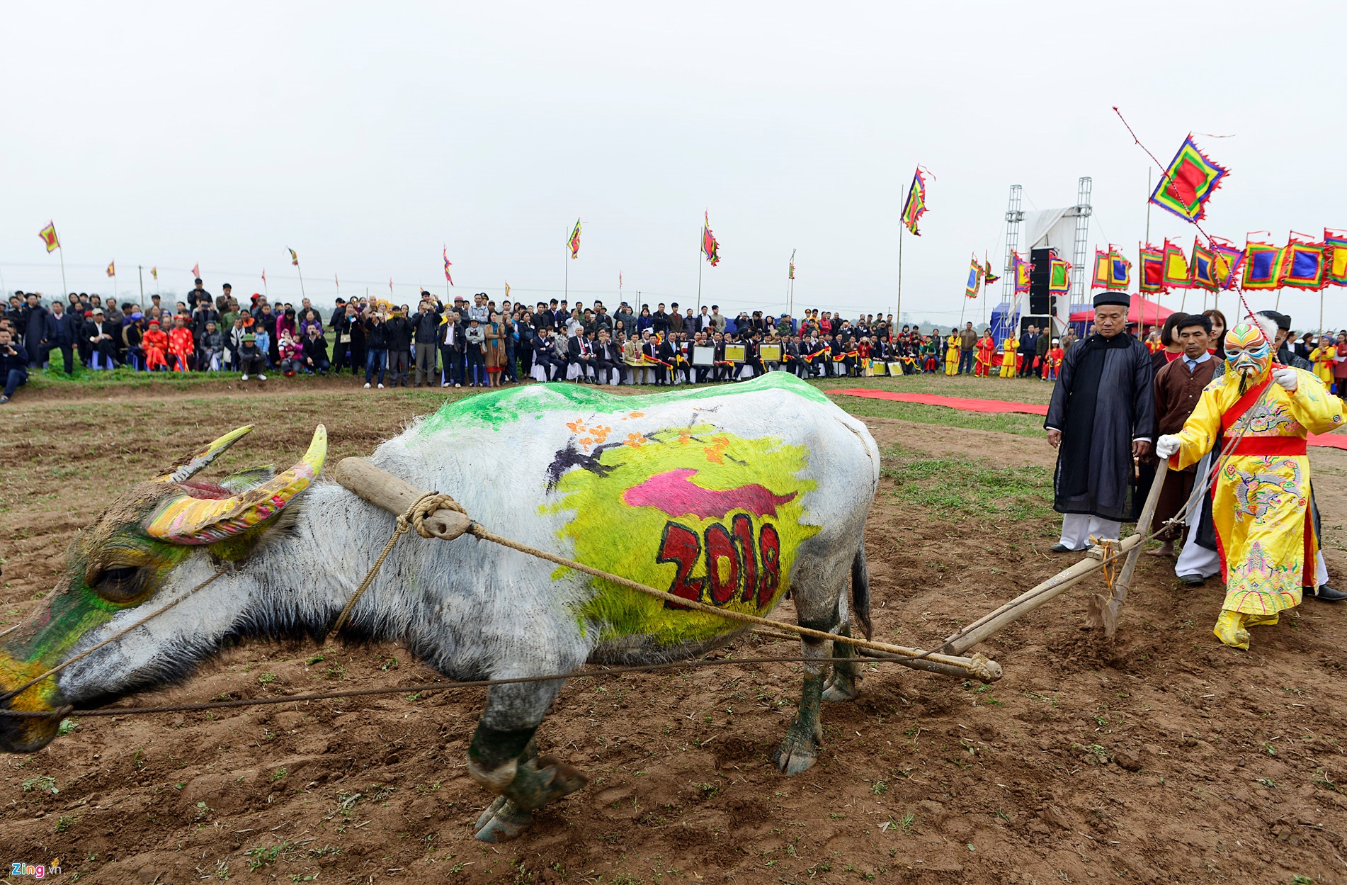 Ai xuong ruong di cay trung ngay hu vang? hinh anh