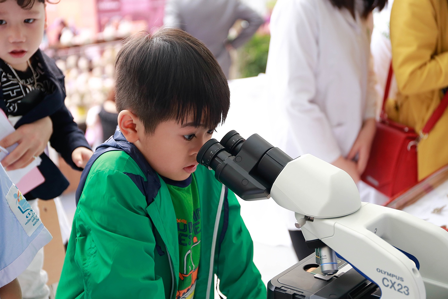 giao duc STEAM anh 6