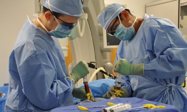 Sau ca ghep tuy, nguoi dan ong co ADN giong an nhan hinh anh