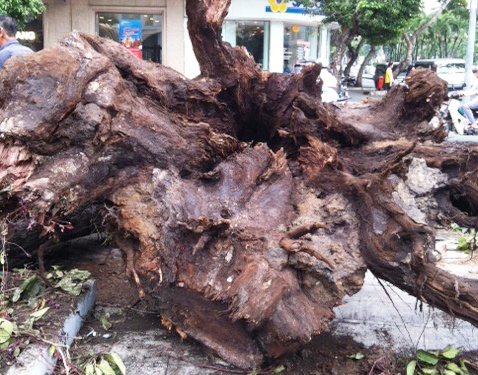 Nhieu co thu bi don lam Metro o Sai Gon da rong goc hinh anh